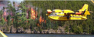 Northeast Region Forest Fire Situation Update